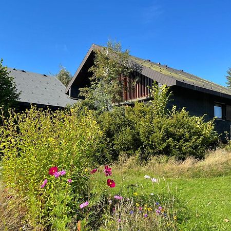 Holiday Home Rechbergblick - Beu302 By Interhome Bernau im Schwarzwald Εξωτερικό φωτογραφία