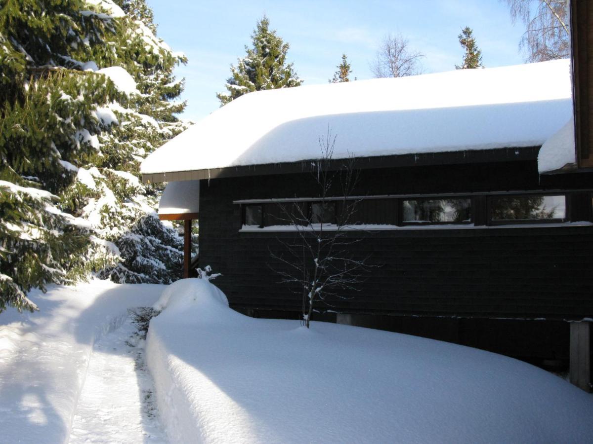 Holiday Home Rechbergblick - Beu302 By Interhome Bernau im Schwarzwald Εξωτερικό φωτογραφία